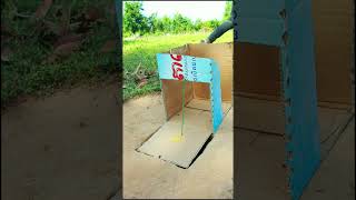 New innovative soil trap using cardboard boxes shorts [upl. by Nojram99]