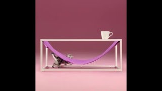 WHISKAS Cat Hacks  The Hammock [upl. by Kcirred804]