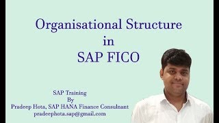 SAP FI Organisation Structure  Enterprise Structure in SAP FI [upl. by Ajit429]