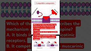 Which of the following describes the mechanism of action of atropine [upl. by Nowell]