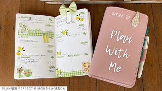 Wk 21  Weekly Plan With Me  Planner Perfect 6 Month Agenda [upl. by Agler]