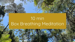 10 Minute Box Breathing Meditation [upl. by Adaminah983]