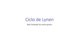 Ciclo de Lynen  Beta oxidação de ácidos graxos [upl. by Lledrev]