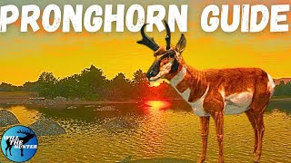 Rancho Del Arroyo Pronghorn Guide TheHunter Call Of The Wild 2023 [upl. by Ardella]