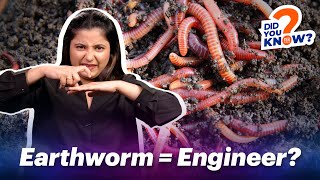 Why Earthworms Are Important  ISH News [upl. by Latrina]