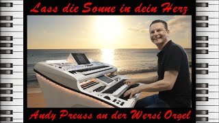 Lass die Sonne in dein Herz ♥️ Andy Preuss an der Wersi Orgel  Instrumental Cover [upl. by Flem]