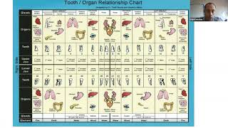 Meridian Tooth Chart  What it tells us about our health  Peter Houchin [upl. by Lindemann515]