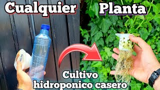 CULTIVA cualquier PLANTA en AGUA Cultivo hidroponico casero para HUERTO urbano Fresa hidroponica [upl. by Airdnaxila]