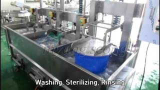 3Step Semiautomatic Basket Type Washing Machine 3단 반자동 바구니세척기 [upl. by Ylime]