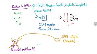 GLP1 Receptor Agonists and DPP4 Inhibitors Explained in 4 Minutes [upl. by Nathanil141]