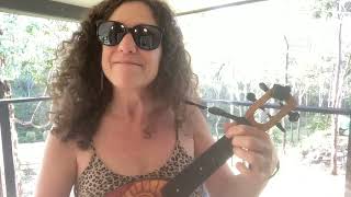 Echo Beach  Martha and the Muffins uke cover [upl. by Cardon213]