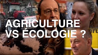 LAGRICULTURE pourquoi incompatible avec lécologie [upl. by Acile]