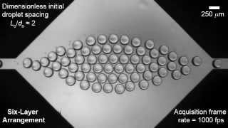 Droplet assembly in a microfluidic chamber [upl. by Hpeosj49]