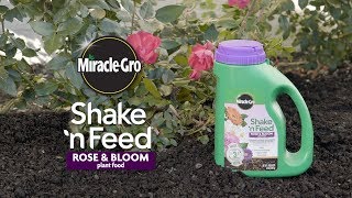 How to Use MiracleGro® Shake n Feed® Rose amp Bloom Plant Food [upl. by Einitsed]