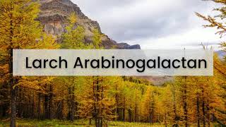 Larch Arabinogalactan  Ecuadorian Rainforest LLC [upl. by Chun]