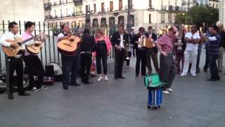 El mariachi loco quiere bailar [upl. by Lodie208]