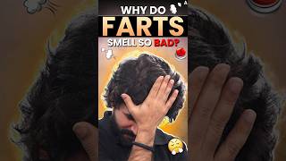 Why Do Farts Smell So Bad  shorts fartsfact sciencefact intestinalhealth shivamsir [upl. by Arty]