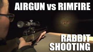 Airgun vs Rimfire [upl. by Burgwell664]