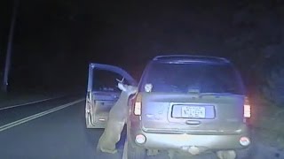 Watch Deer Try To Hop Into Car With Driver After Being Hit on Road [upl. by Oinegue]