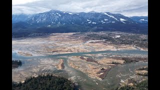 Winter In the Harrison Valley Drone and Trailcam Views of the Salmon Forest [upl. by Seward64]