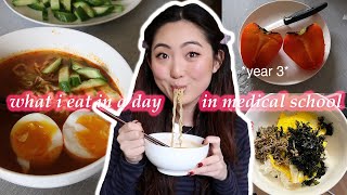 WHAT I EAT IN A DAY IN MEDICAL SCHOOL FAMILY MED ROTATION  Healthy Korean Meals for One Girlie 🍜 [upl. by Atazroglam230]