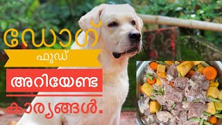 Home Made Dog Food In MalayalamHealthy Weight Gain Food [upl. by Pickar358]