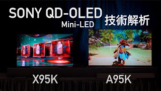 2022 全系列 Sony BRAVIA XR 電視 A95K 革新 QDOLED、X95K MiniLED 技術解析｜8K 旗艦 MiniLED 電視 Z9K 及更多型號！ [upl. by Euqina]