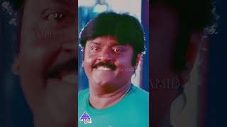 கொட்டு கொட்டு  Pottathalem Video Song  Bharathan Movie Songs  Vijayakanth  Ilaiyaraaja  Shorts [upl. by Alley]