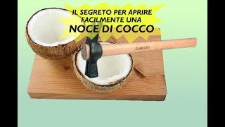 IL SEGRETO PER APRIRE FACILMENTE LA NOCE DI COCCO [upl. by Durware]