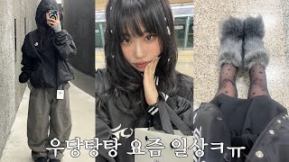 vlog 자빠져서 얼굴 개박살  우당탕탕 요즘 일상  히피펌∙언박싱∙24SP 신상 구경 [upl. by Noiraa209]