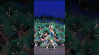 “Peacock Dance” at the YAGP Finals 2016 chinesedance yagp peacock ballet [upl. by Nolaj747]