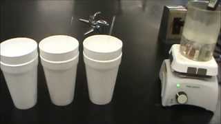 Calorimetry Experiment with different metals [upl. by Eimarej]