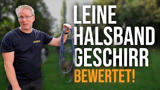 Das sind die BESTEN Halsbänder Leinen und co 🐶 Hundetrainer erklärt  TGH 436 [upl. by Ateinotna]