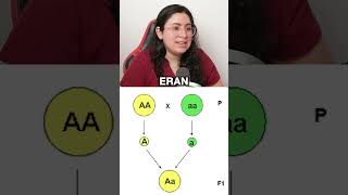 HERENCIA MENDELIANA herencia adn biologia uba ubaxxi cbc universidad institutobiolyl [upl. by Bergman]