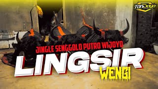 DJ BANTENGAN LINGSIR WENGI JINGLE SENGGOLO PUTRO WIJOYO DJ HELOS PRODUCTION [upl. by Brittney]