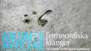 Fornnordiska klanger  The Sounds of Prehistoric Scandinavia Full Album [upl. by Mohl915]