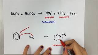 Mechanism of Nitration [upl. by Nwahsear]