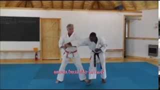 Aiki Throws from Karate Kata 1 [upl. by Alrahs]