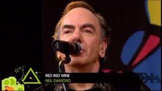 NEIL DIAMOND  RED RED WINE LIVE2008 [upl. by Mahla]