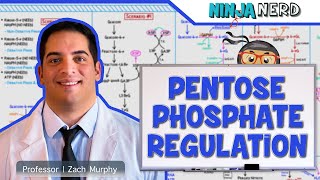 Metabolism  Regulation of Pentose Phosphate Pathway [upl. by Nohs]