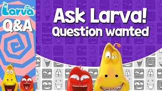 Official Questions and Answers  Ask Larva  Special Video [upl. by Burtis]