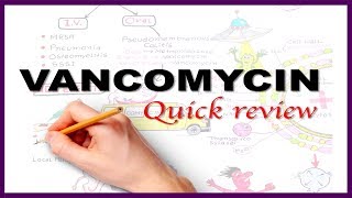 VANCOMYCIN Quick Review with Mnemonic [upl. by Ahsiloc297]