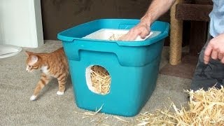 How to Make a Feral Cat Shelter [upl. by Kifar]