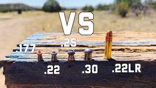 22LR VS 177 22 25 and 30 CAL AIRGUNS  22LR Vs Air Rifle POWER TEST [upl. by Rovelli]