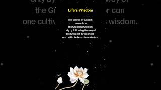 boundless wisdom inspiration [upl. by Caz]