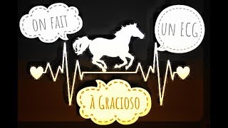 Électrocardiogramme sur un cheval Vlog [upl. by Hanima]