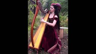 Scarborough Fair in Celtic Harp [upl. by Retxed341]