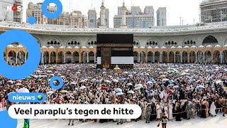 Honderden doden bij hadj door extreme hitte [upl. by Rozalin]