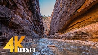 The Narrows  Virtual Hike in the Zion National Park in 4K Ultra HD with Nature Sounds [upl. by Oijres]