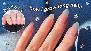 HOW I GROW LONG NATURAL NAILS  The Beauty Vault [upl. by Rene]